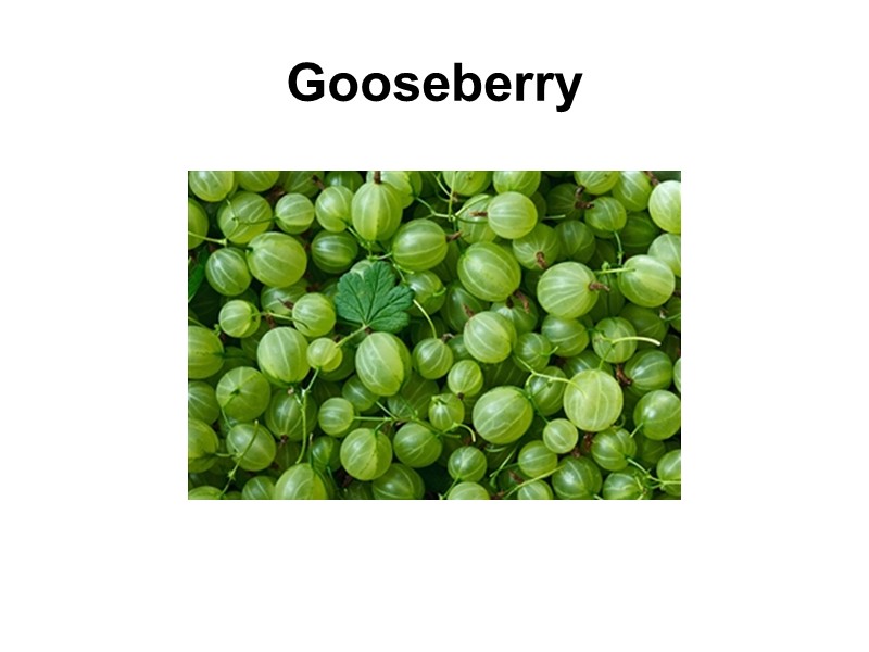 Gooseberry